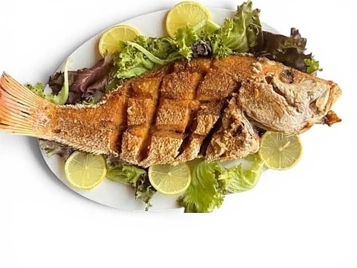Shaari Fish - For One Person