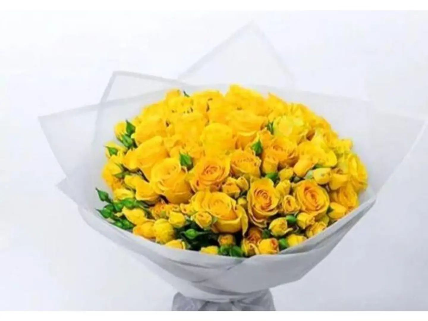 باقة السلامة 5