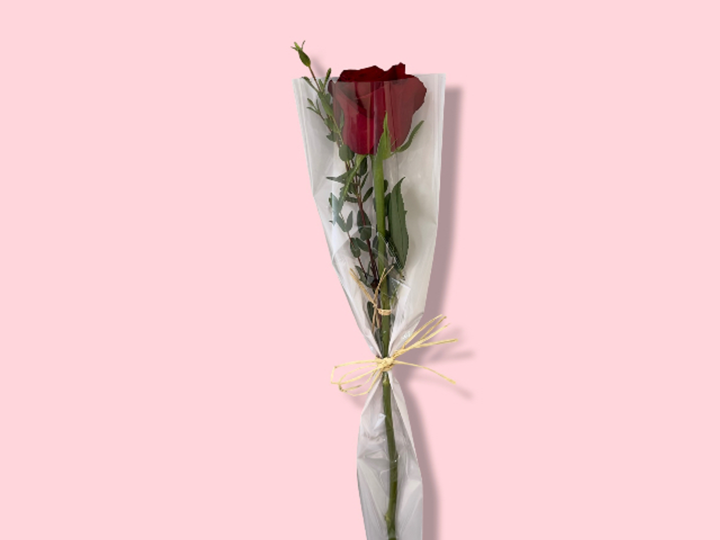 Jury Flower 1 Pcs