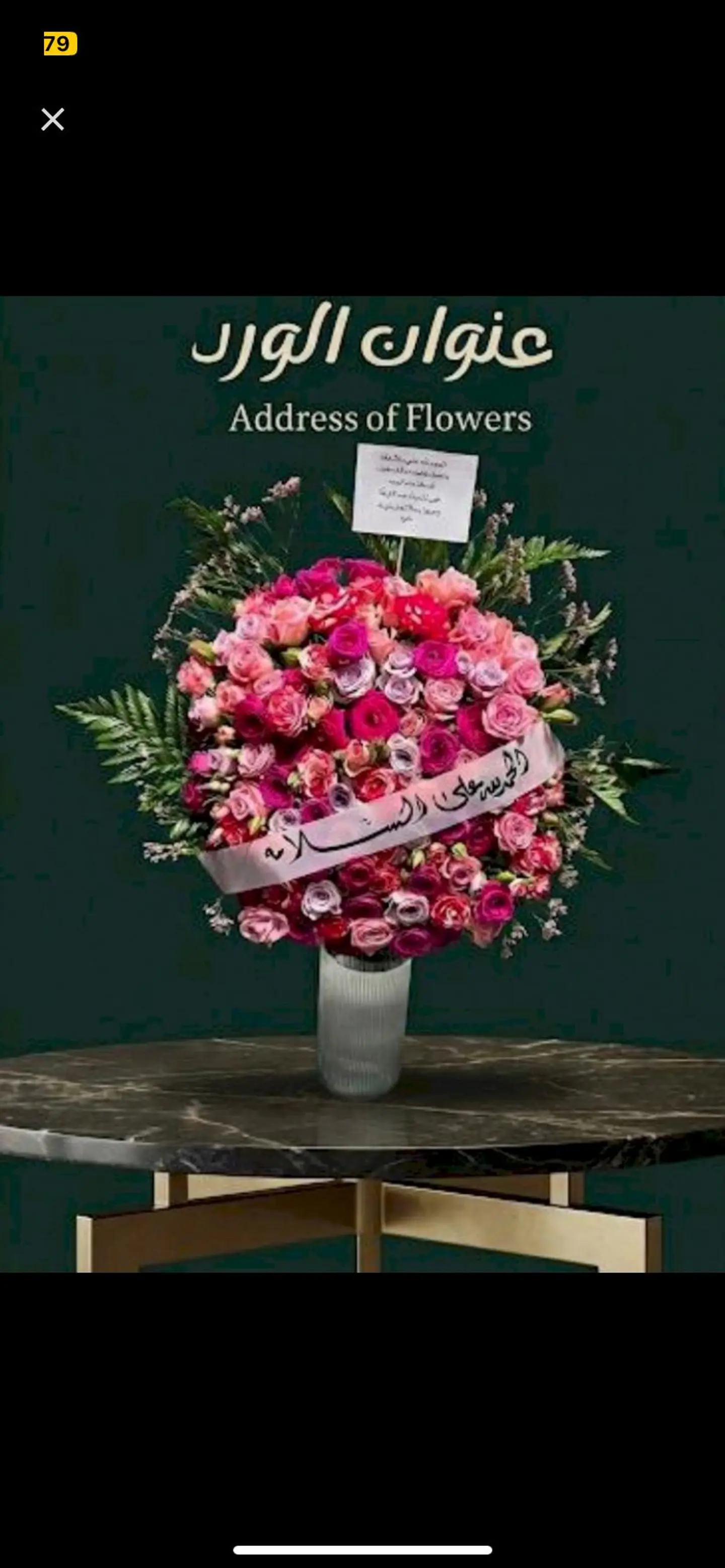 فازة السلامه 706