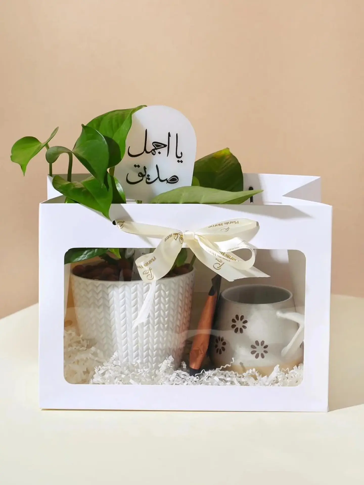 Pothos With Coffee Sachet & Mug In Elegant Holder With Occasion Acrylic Tag