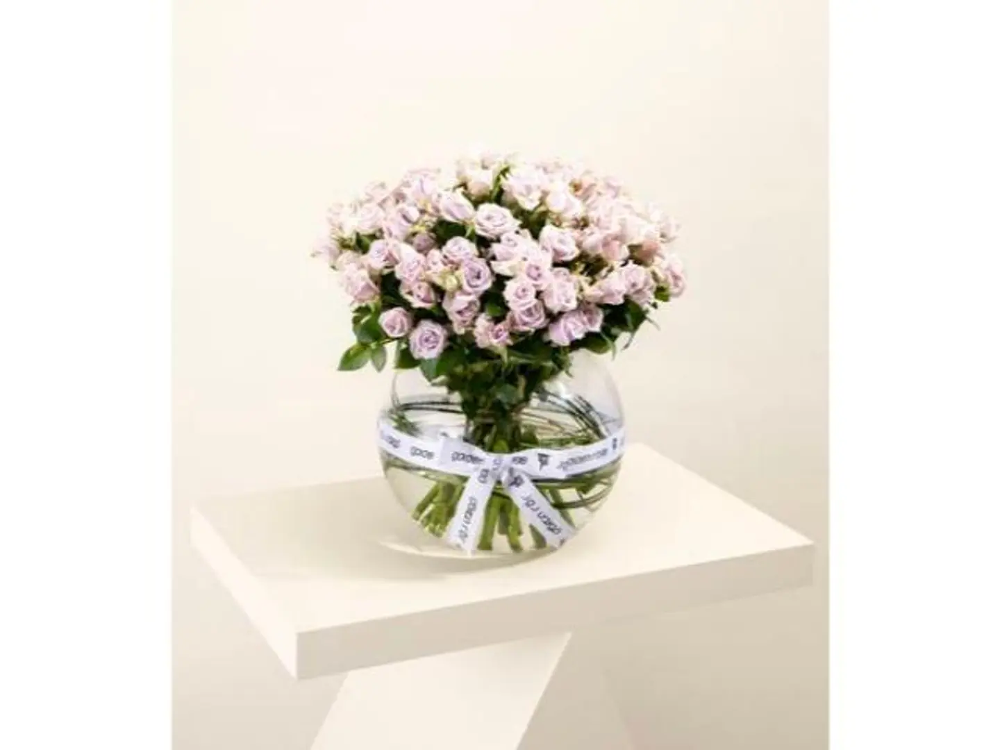 فازه وجودك في حياتي يجعلها أجمل وأسعد حياة في الدنيا