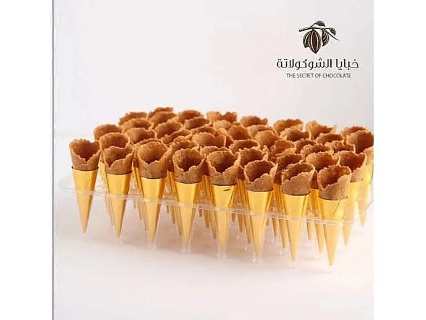 اقماع اسباني سادة كرتون 180 حبة