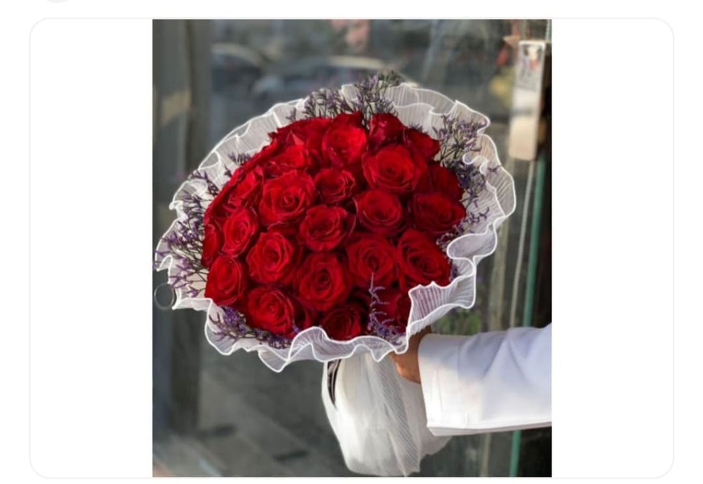 ميلونوف