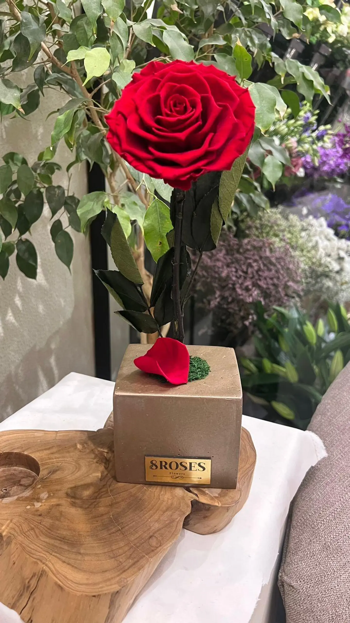 وردة الحب الأبدي