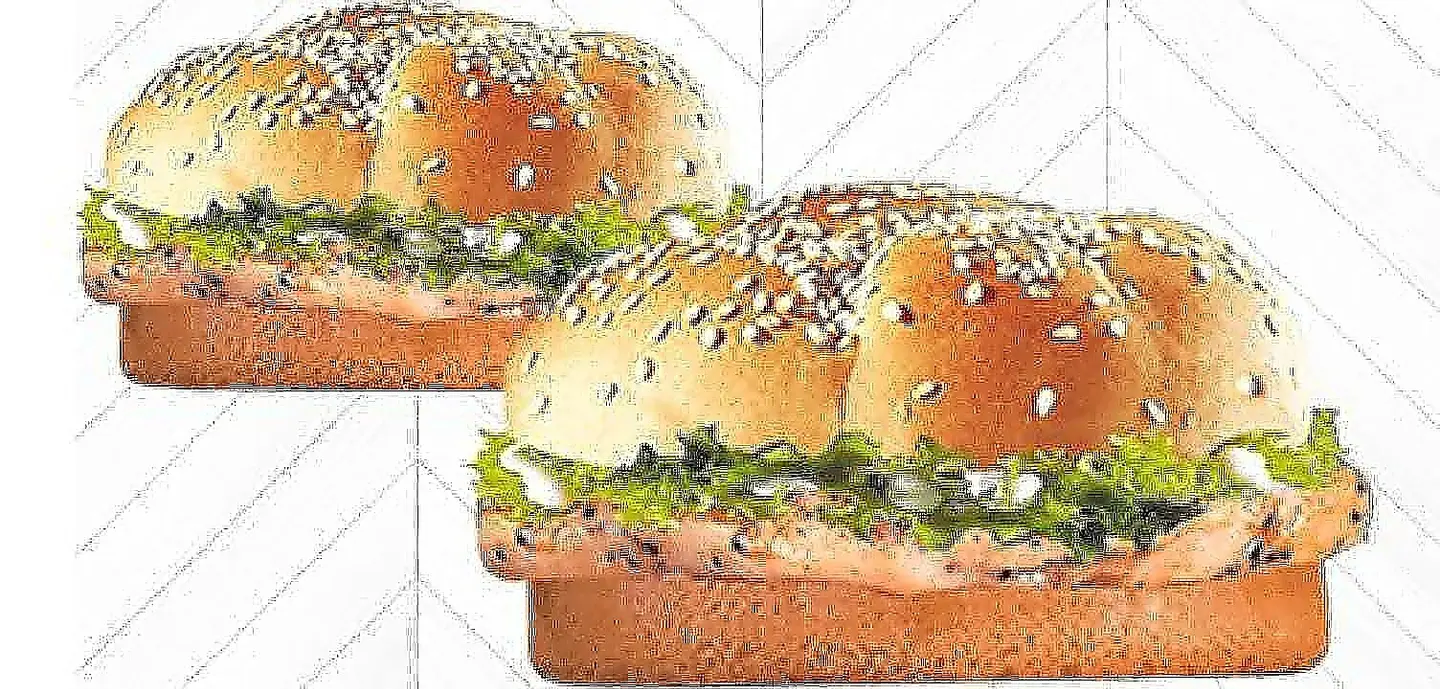 2 Grilled Chicken Burger Sandwich