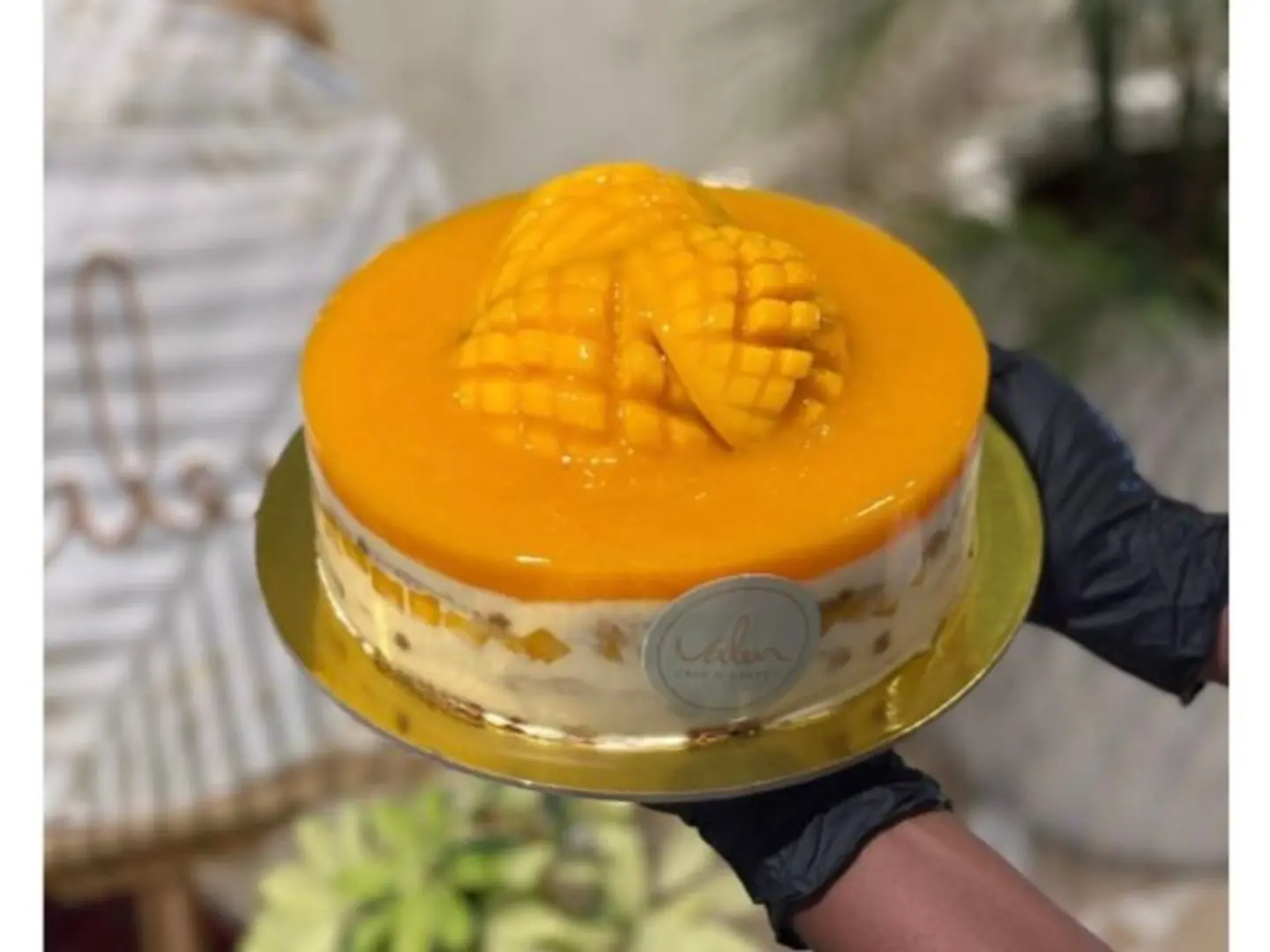 بل مي المانجو حجم كبير