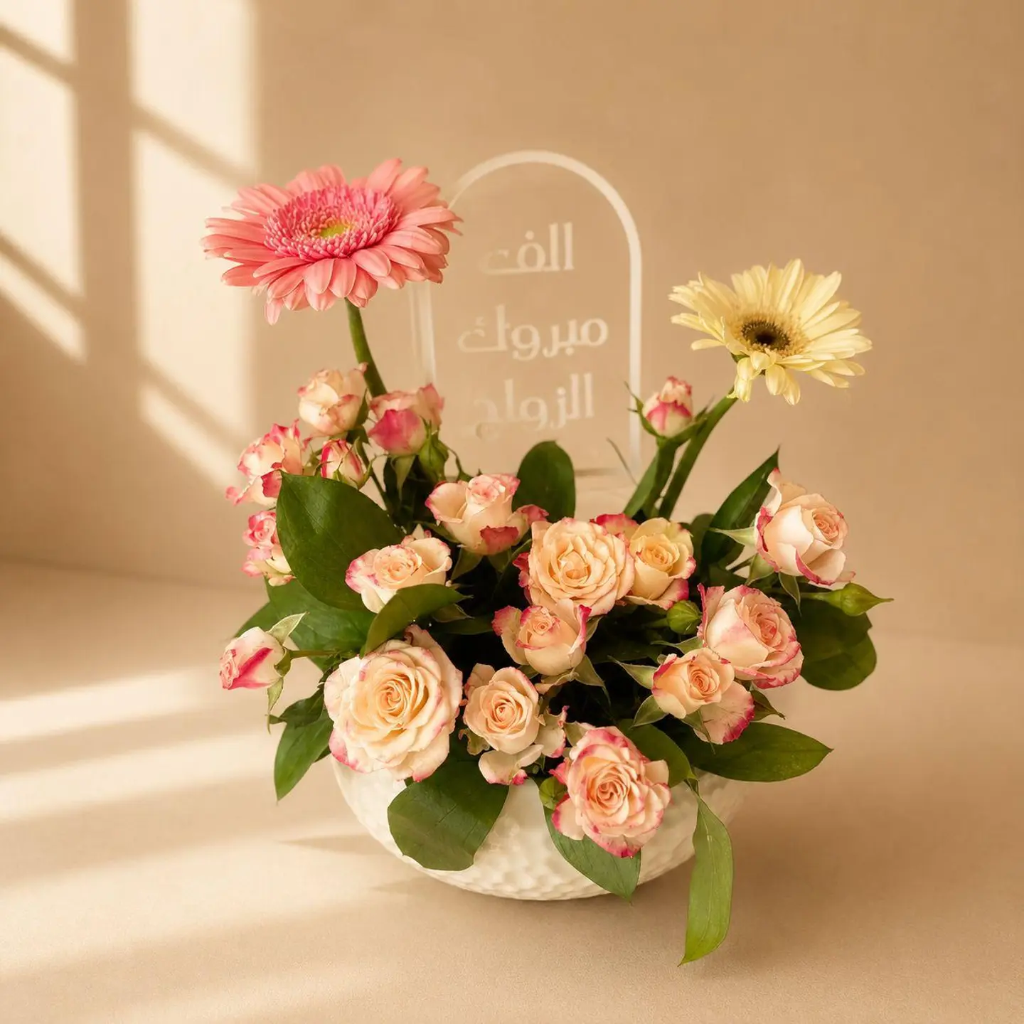 Occasion Gift 8