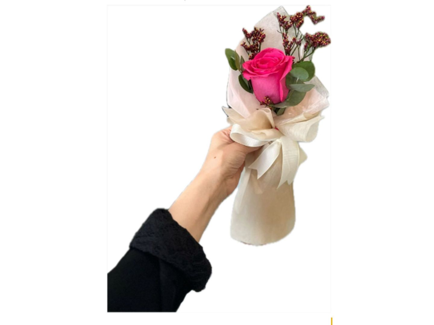 الورده المميزه