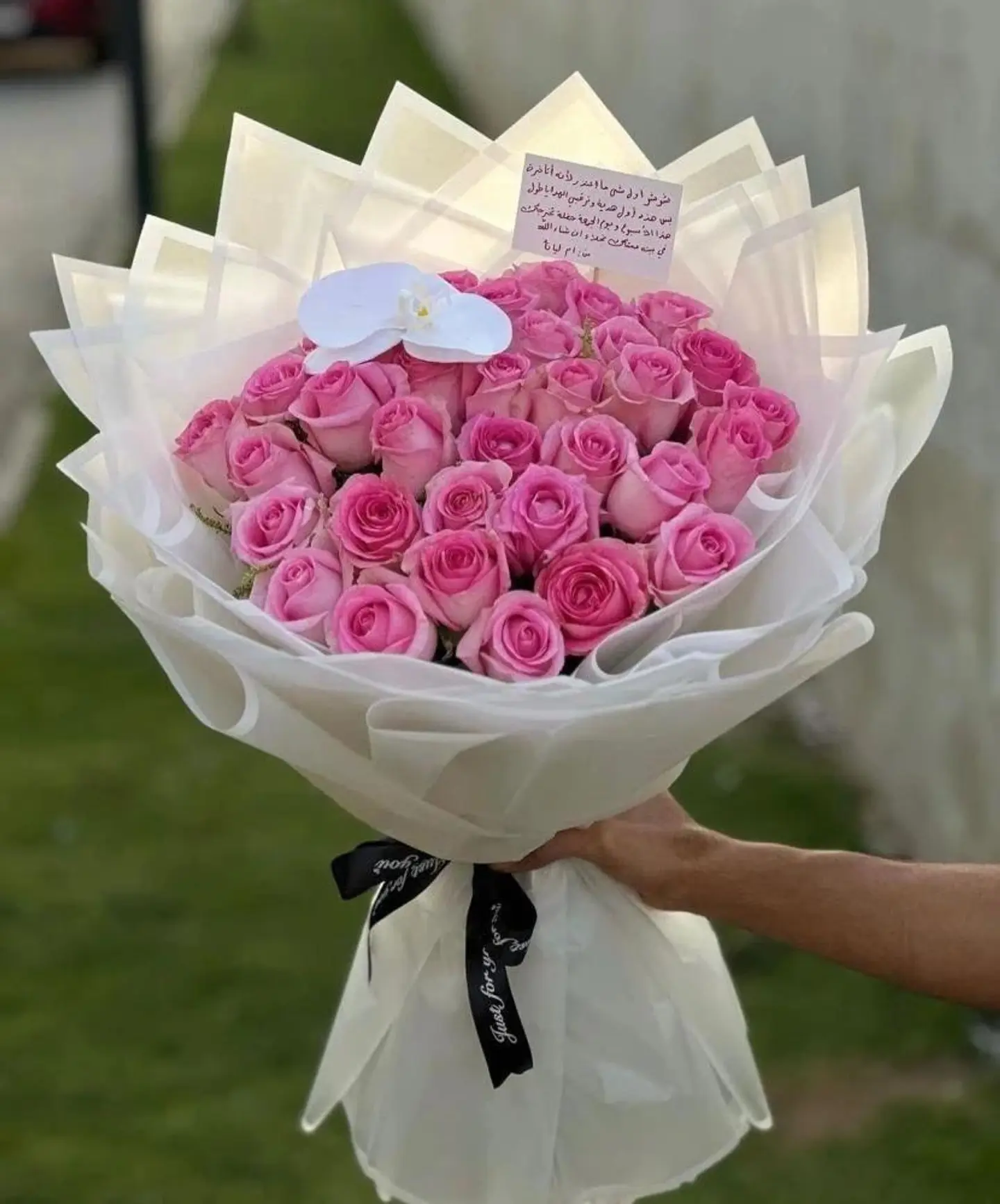 بوكية ‏في إحدى محاولاتي للبحث عن ذاتي، وجدتك.♥️