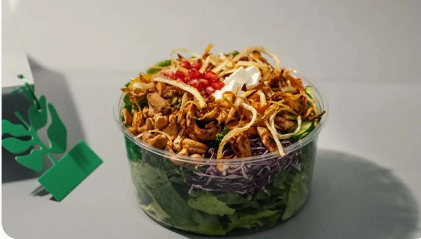 Solo Salad - Medium
