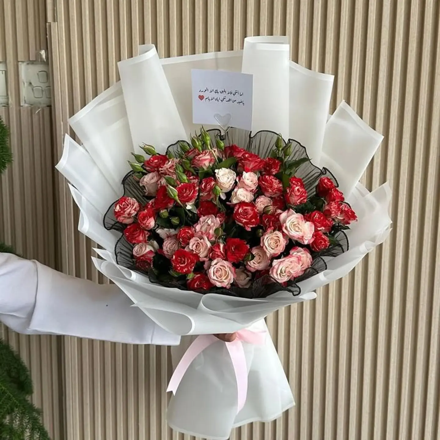 Baby Rose Pink Package024