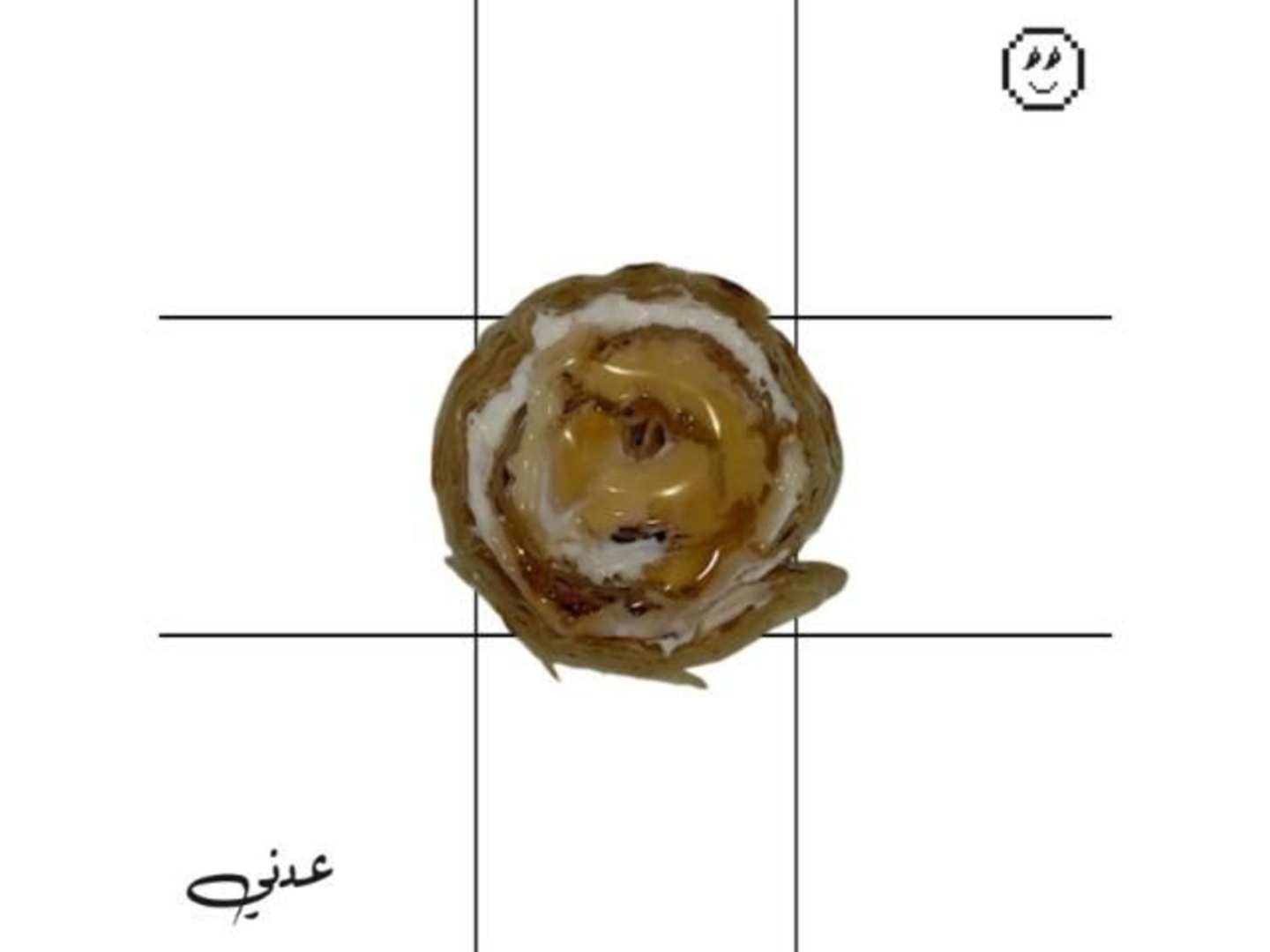 Chapati Labneh With Honey