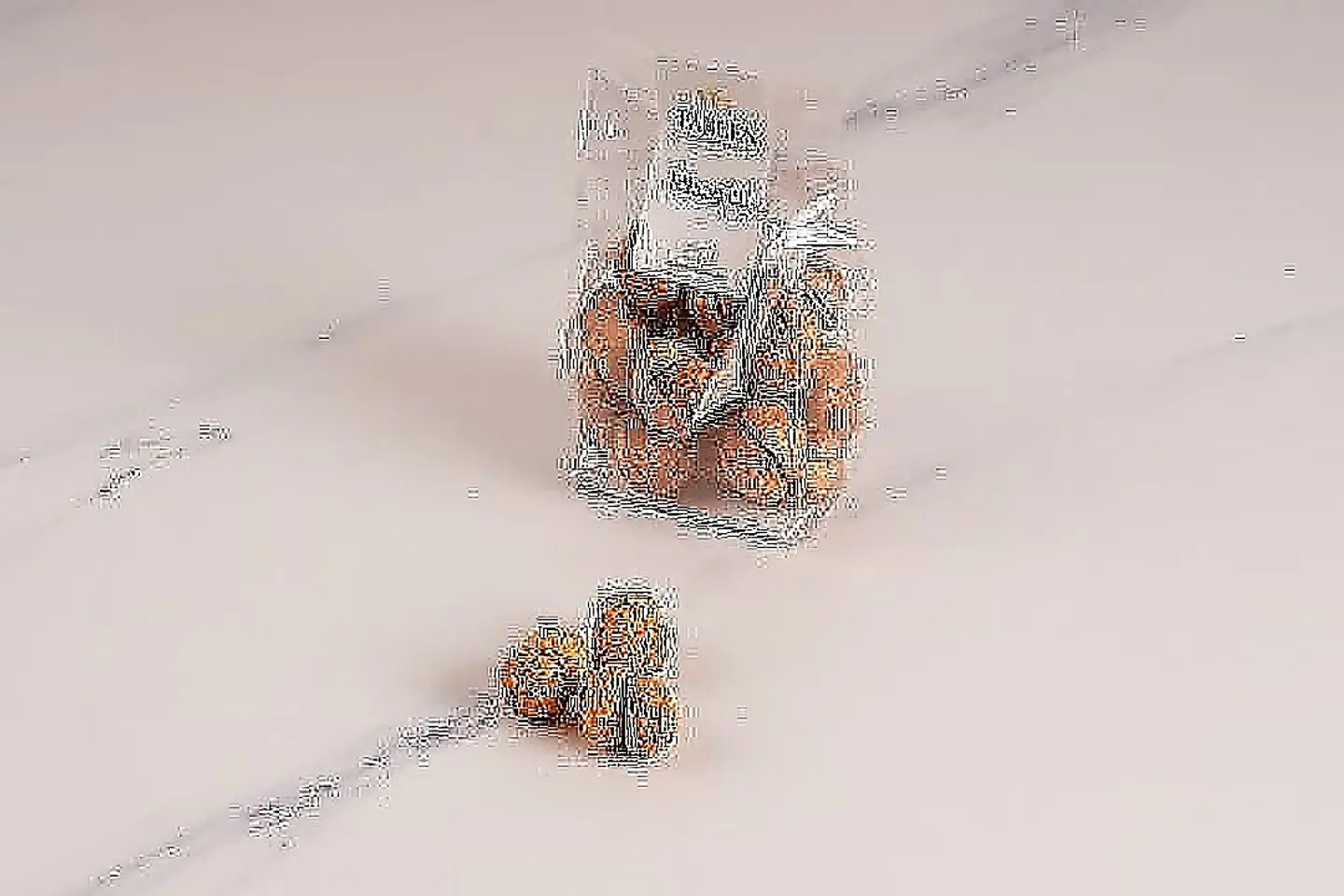 ميني جوز الهند