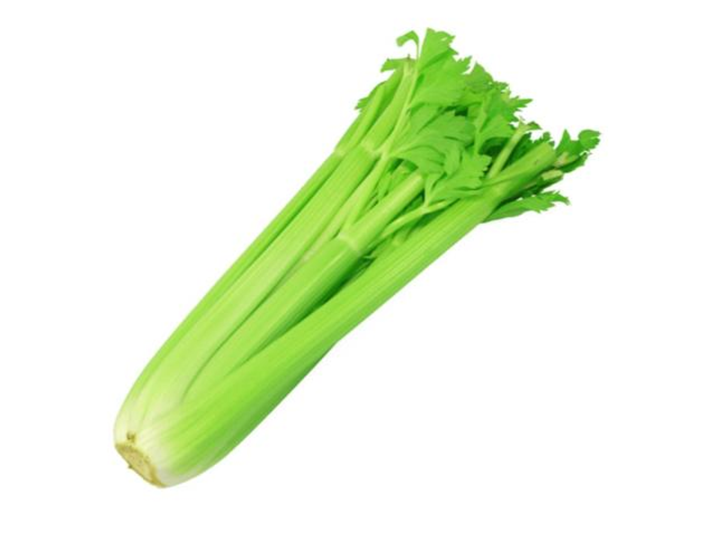 Celery