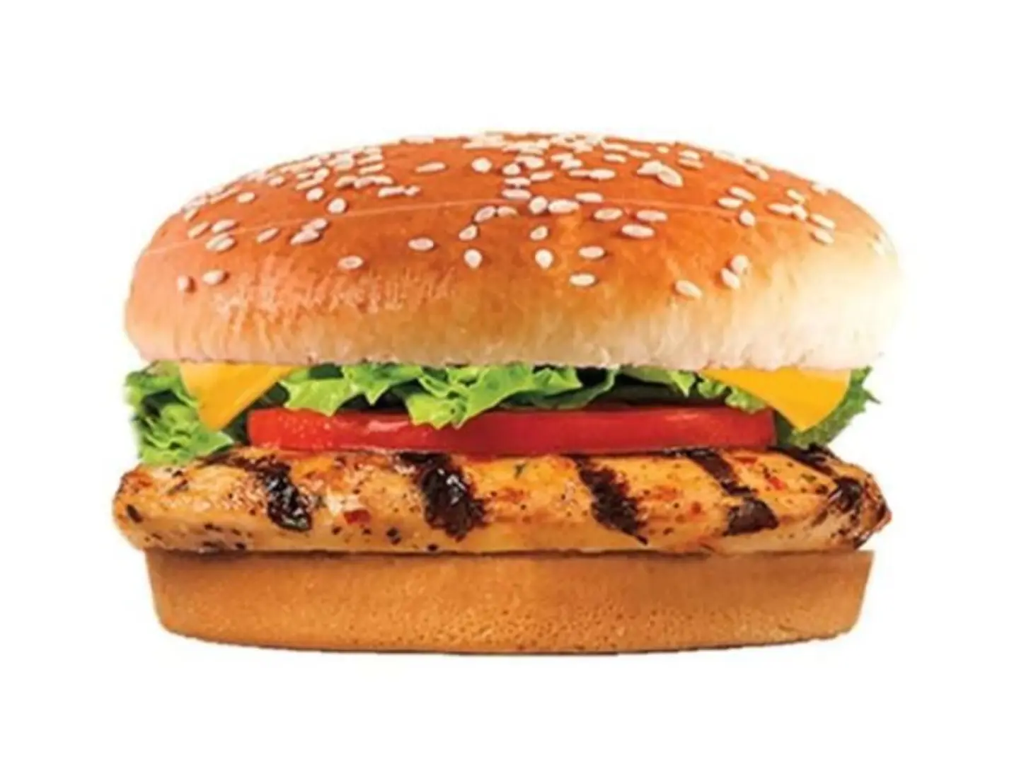 Grilled Chicken Burger