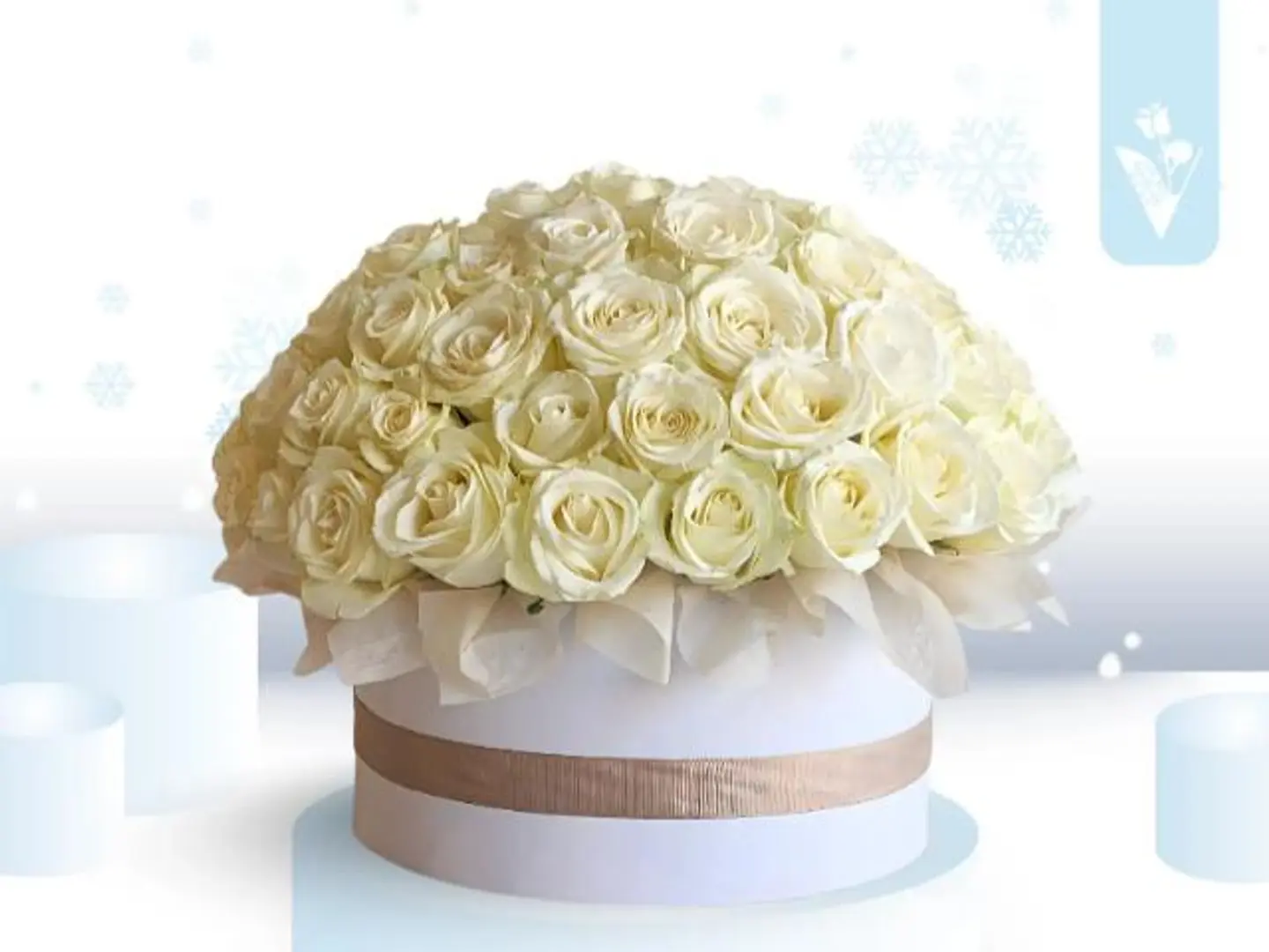 بوكس الشتاء الملكي