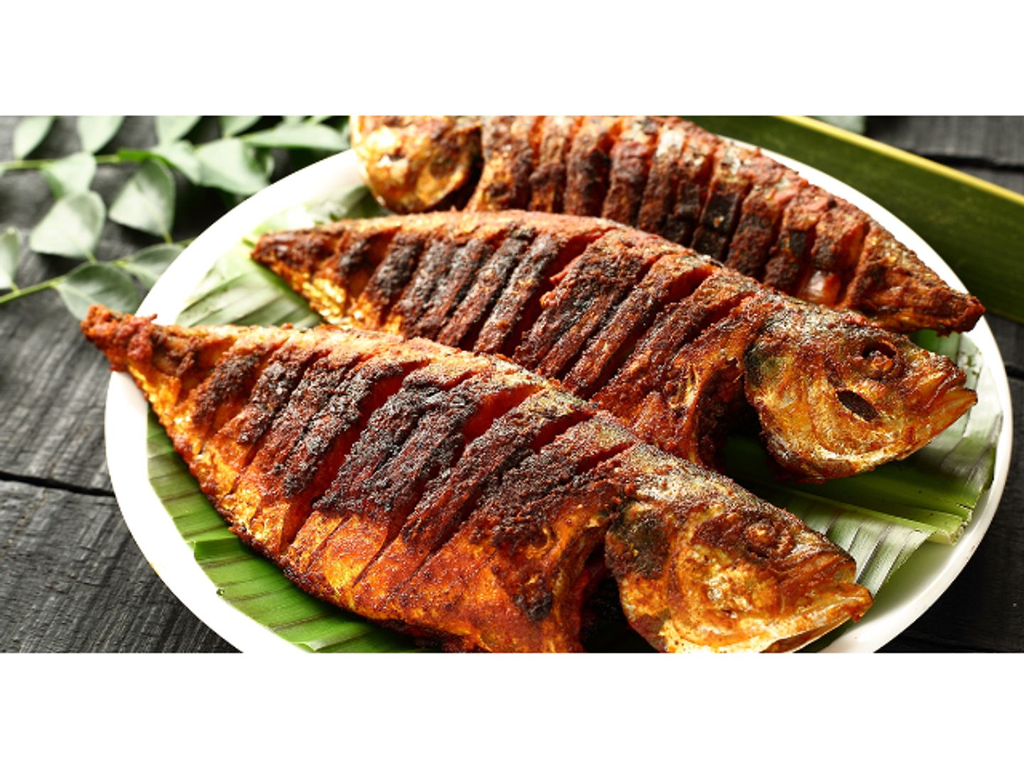 Emperor Fish