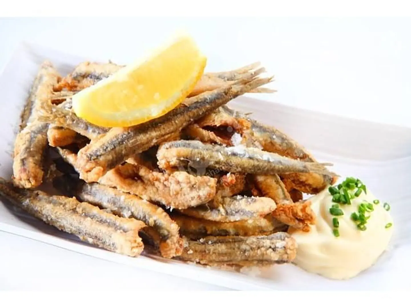 Sardines