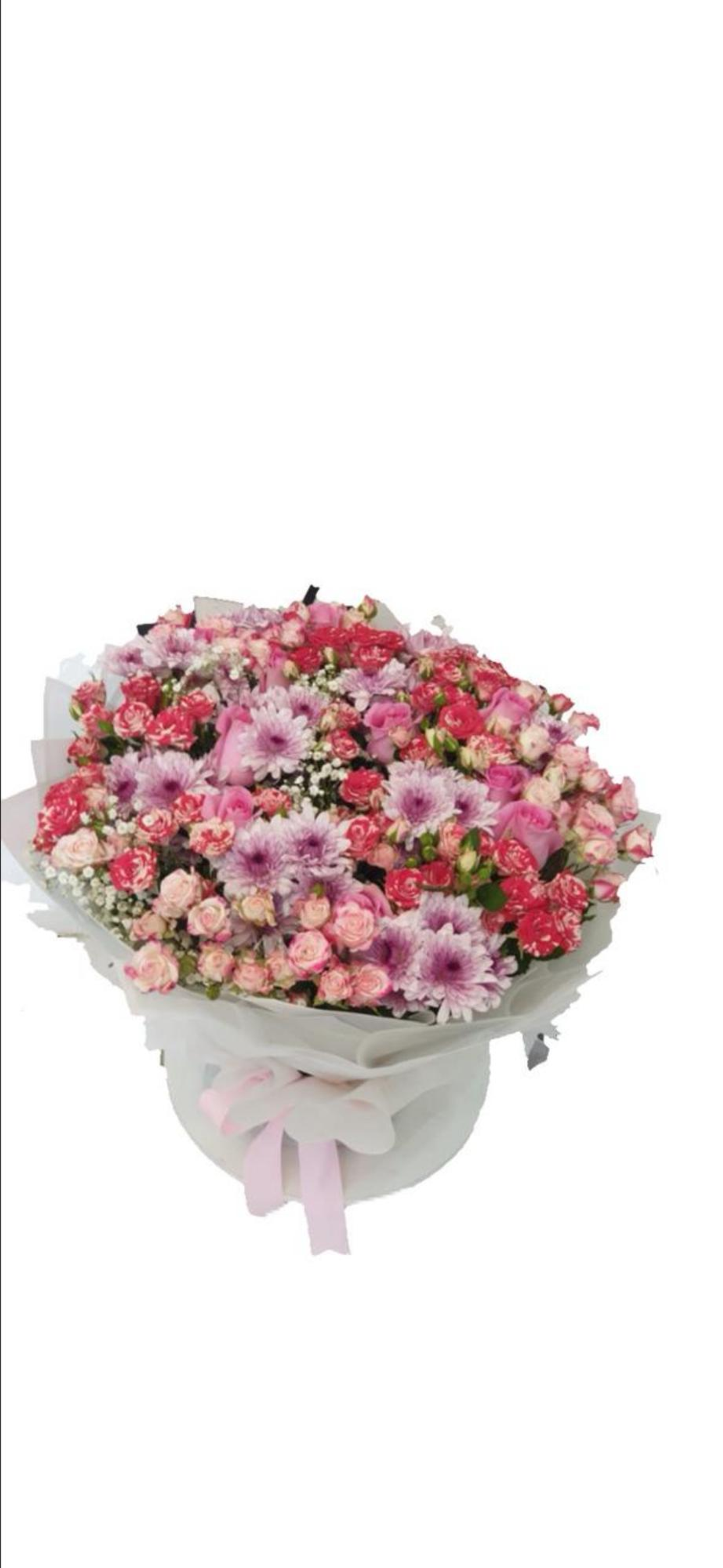 باقة البيبي روز الكبيره