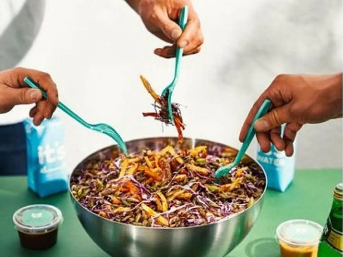 Seedling Salad Gathering