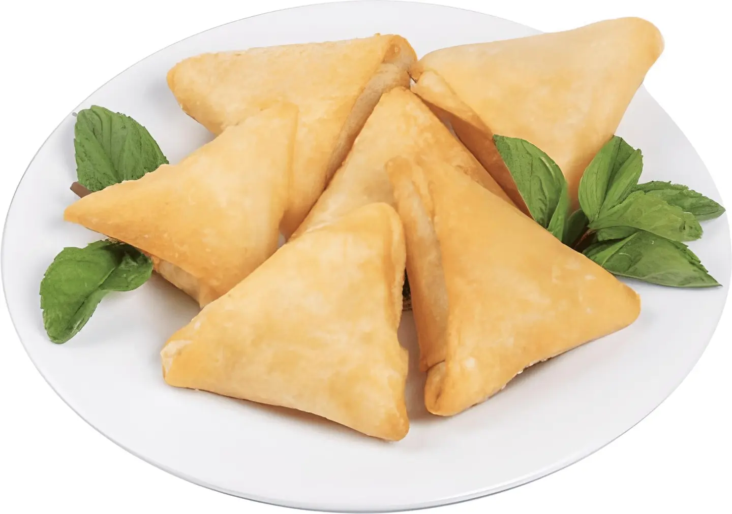 Chicken Samosa