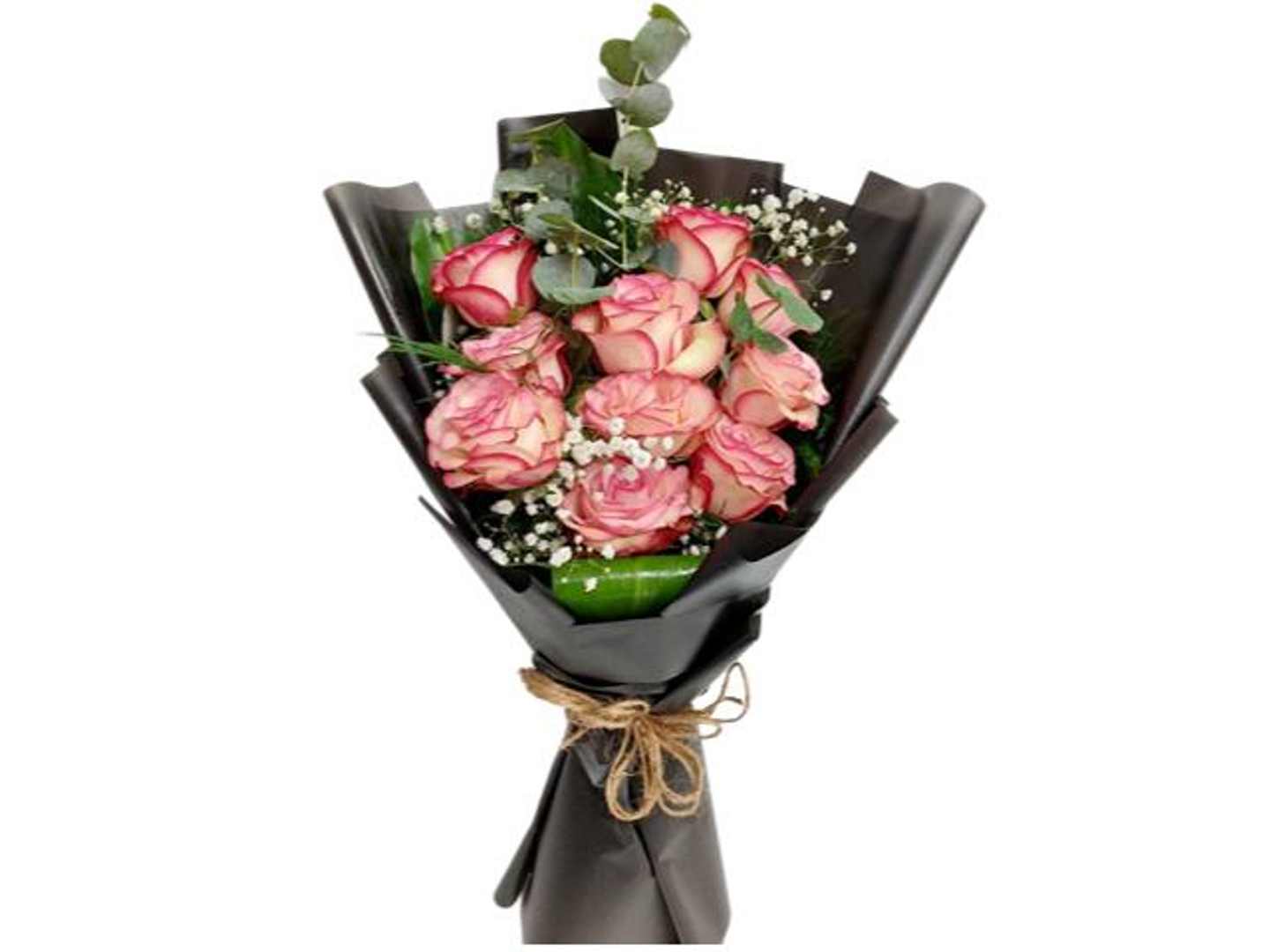6012 Rose Edge Elegance