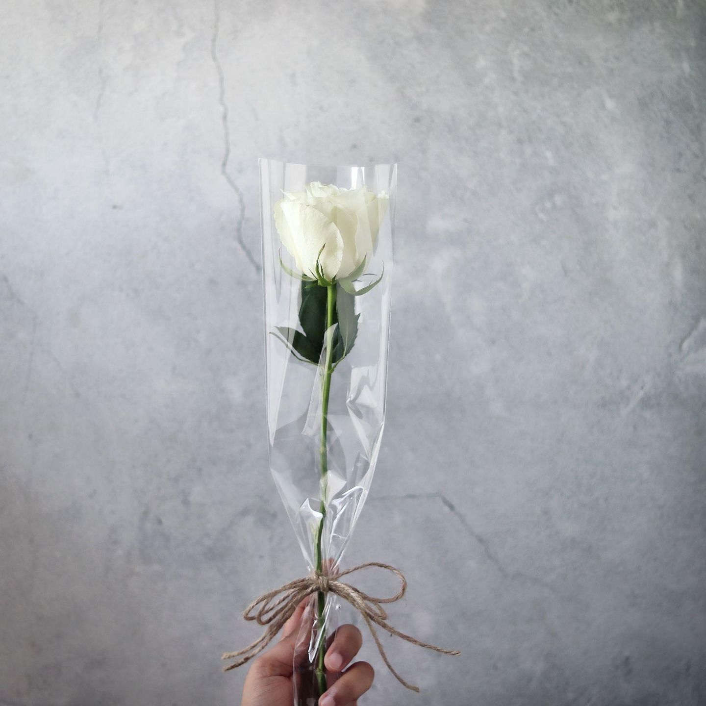 White Jouri Rose