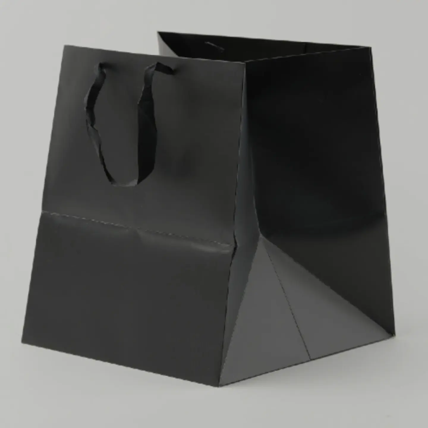 Large Black Bag