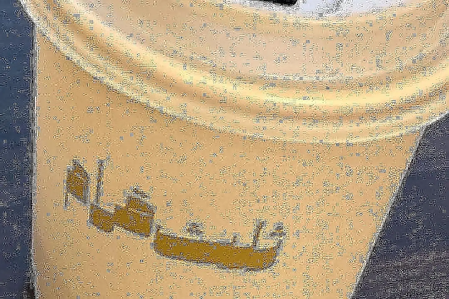 كوب نعناع ورق