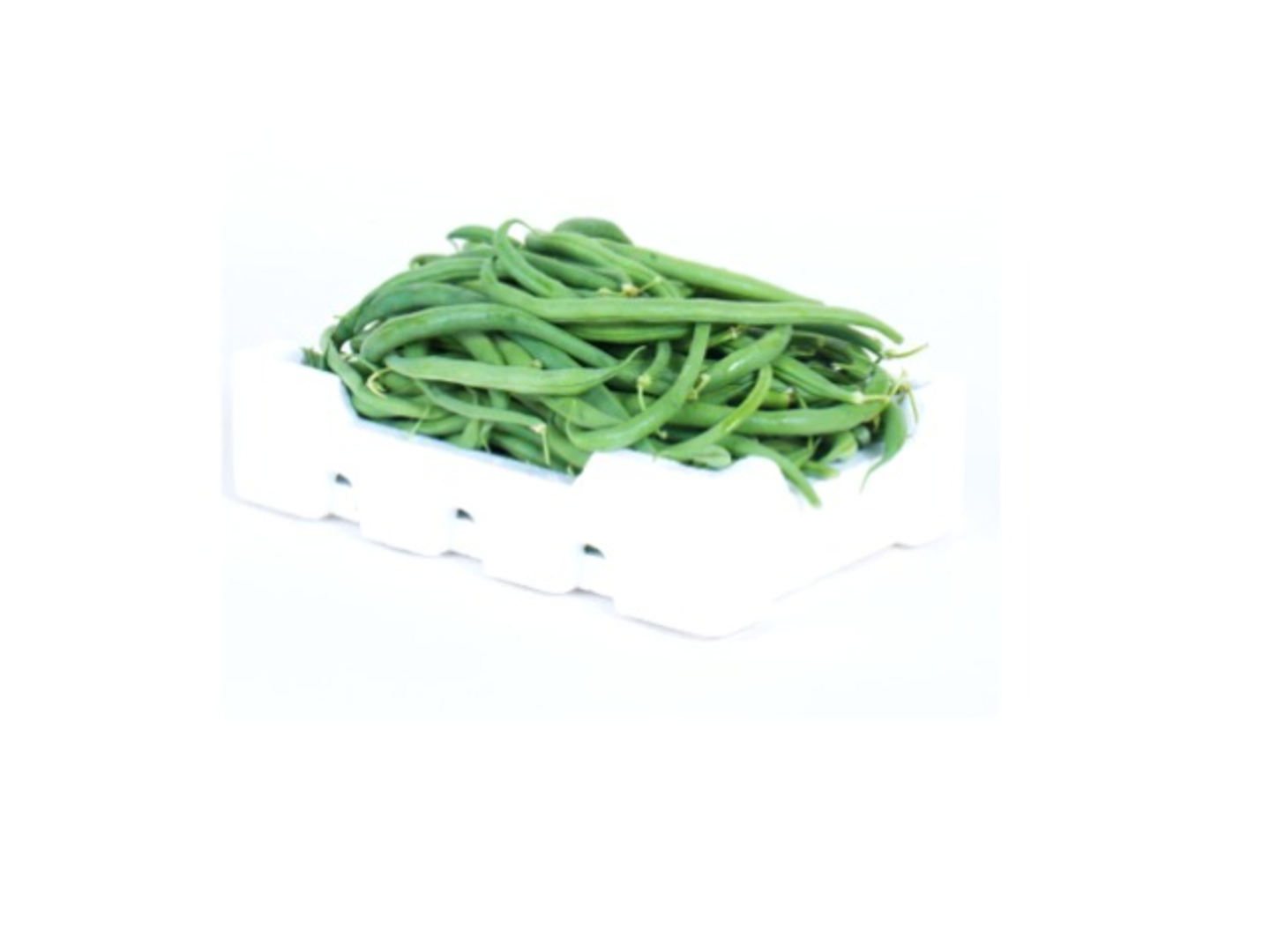 Beans Medium Box