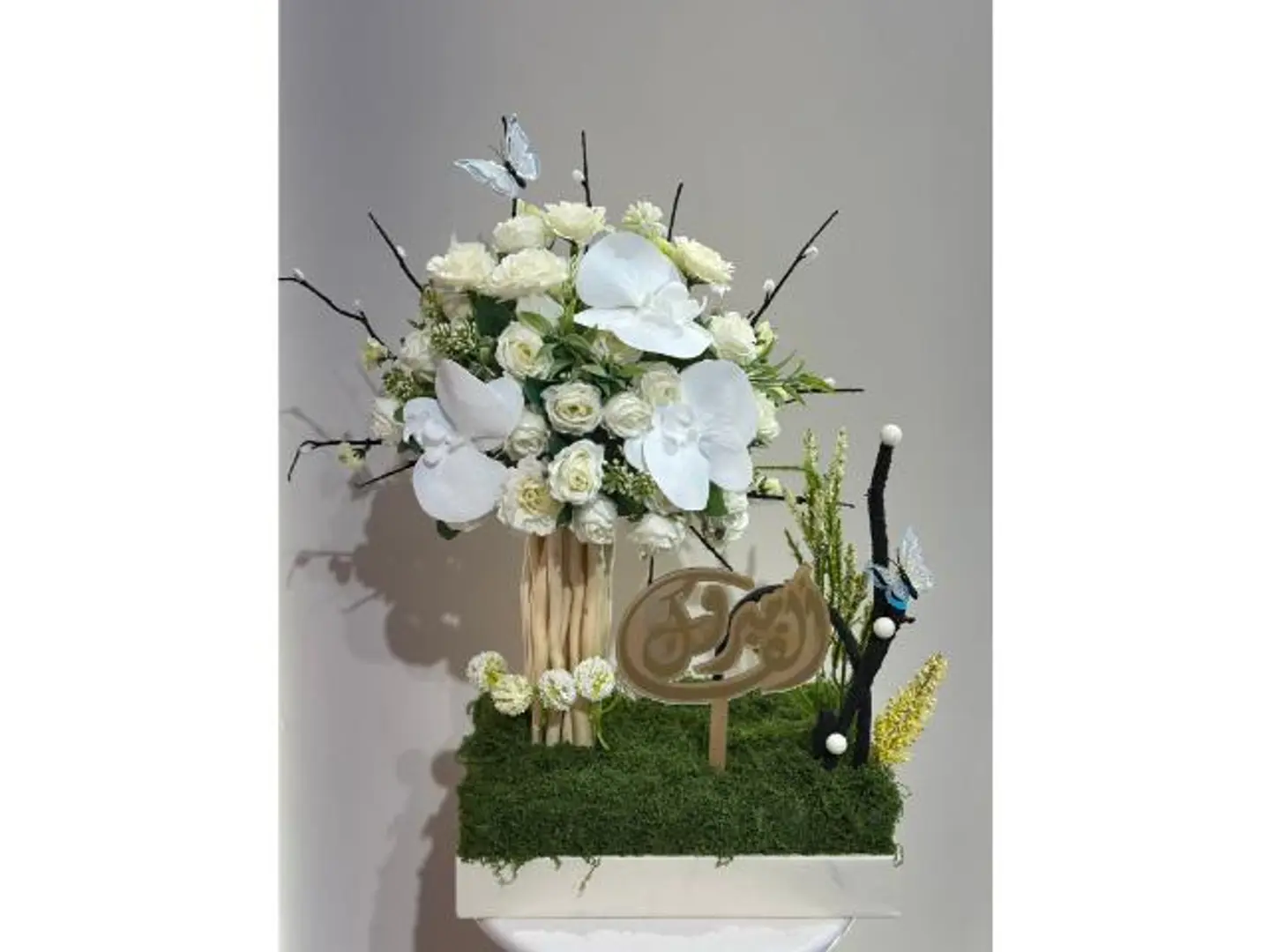 ستاند الف مبروك