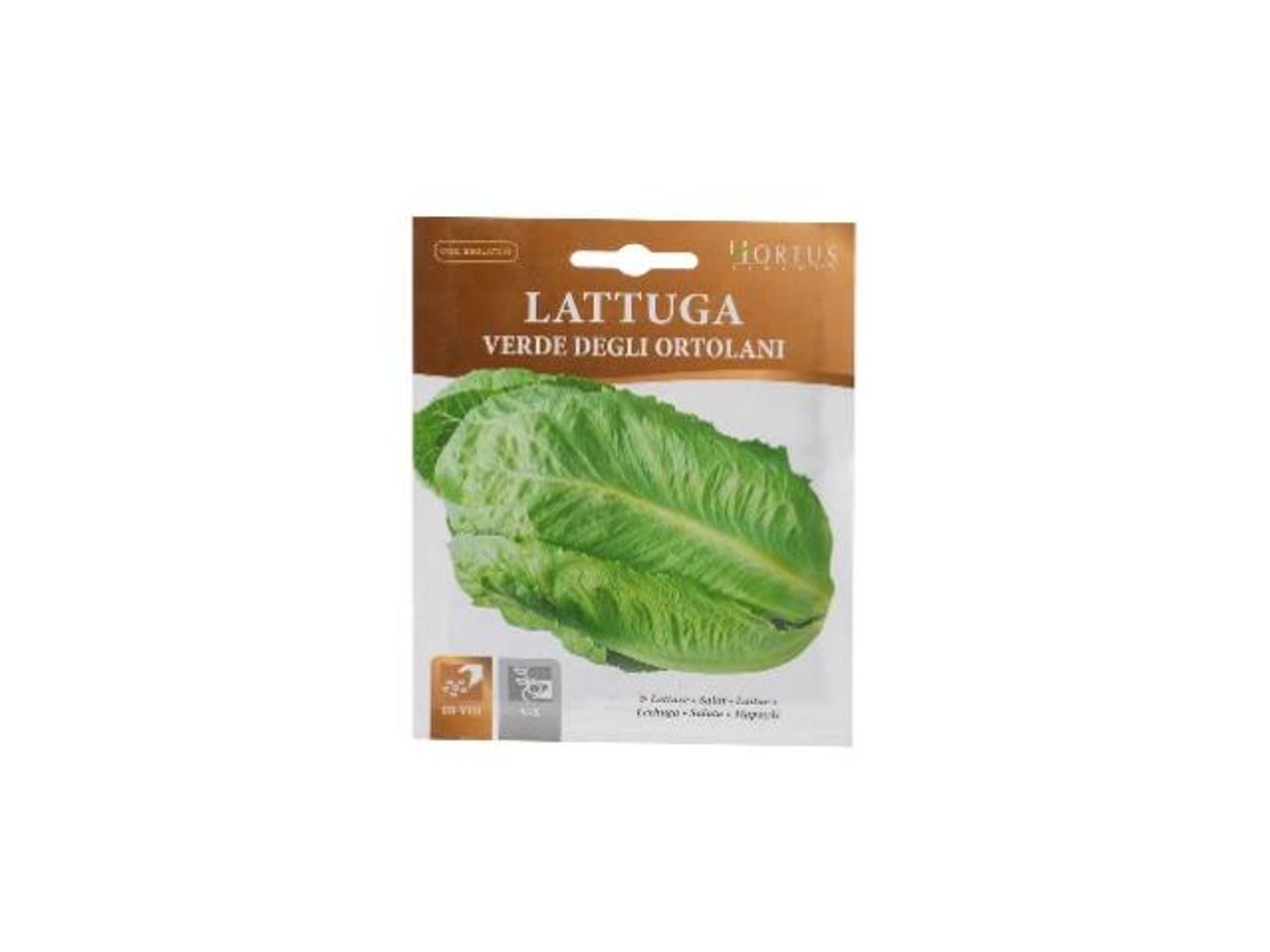 Long Lettuce Seeds