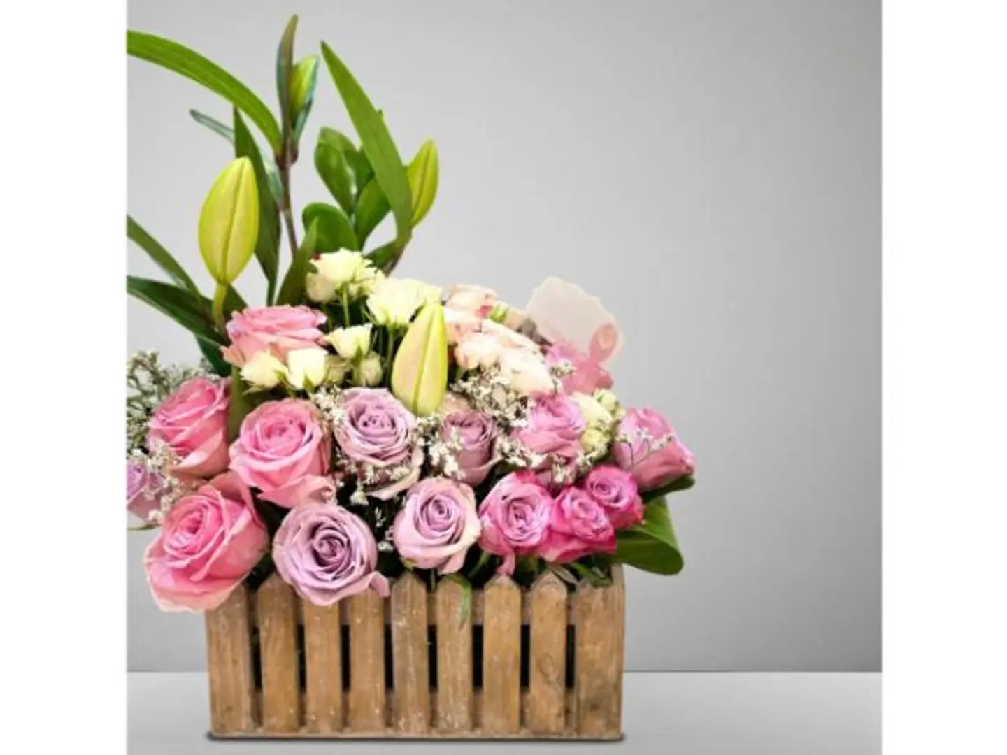 فازه ورد جاردن بوكس