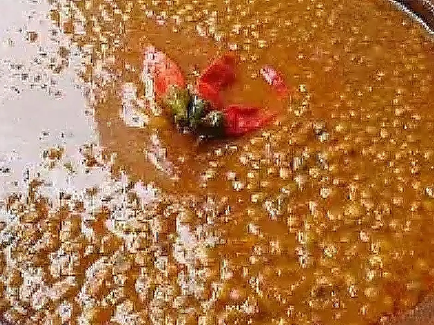 عدس بالتونه عدني