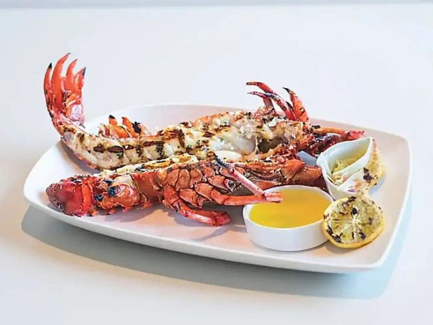 Half Kilo Lobster