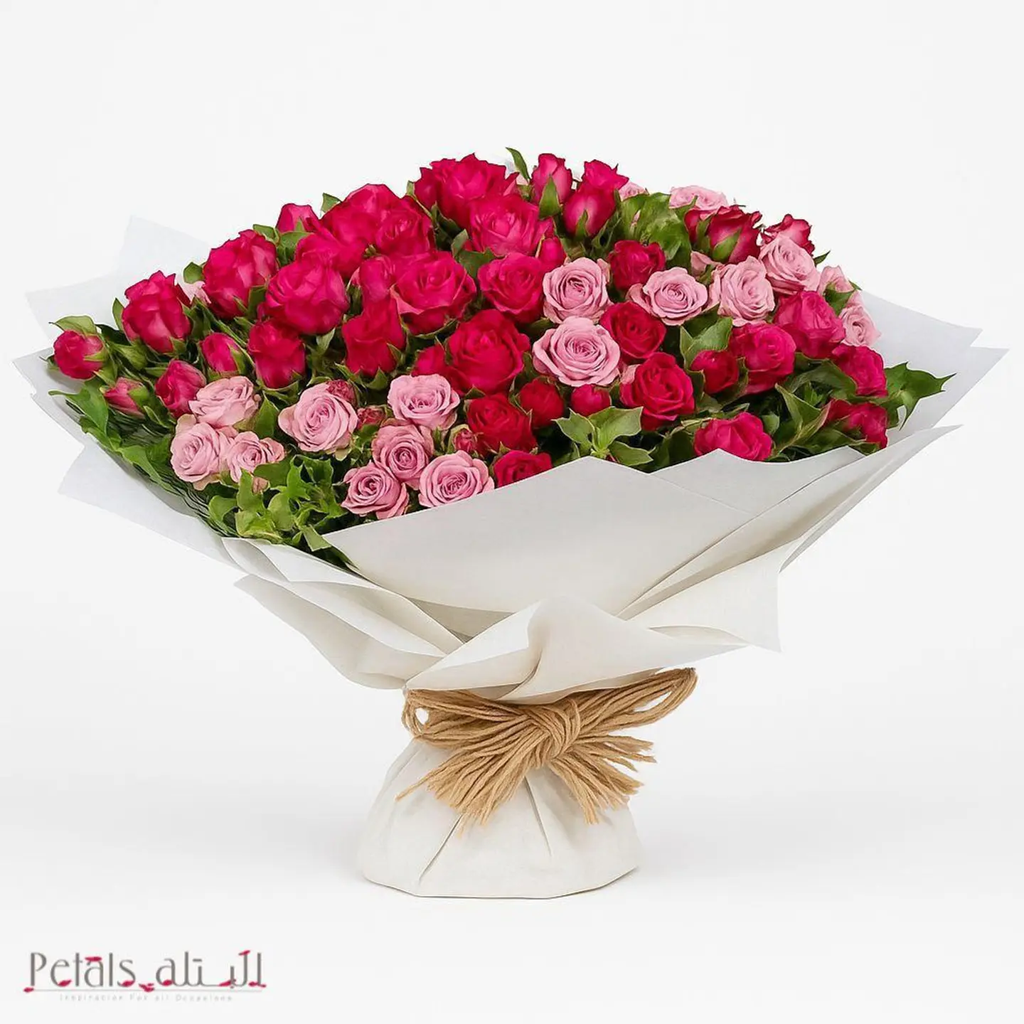 بتلات النور