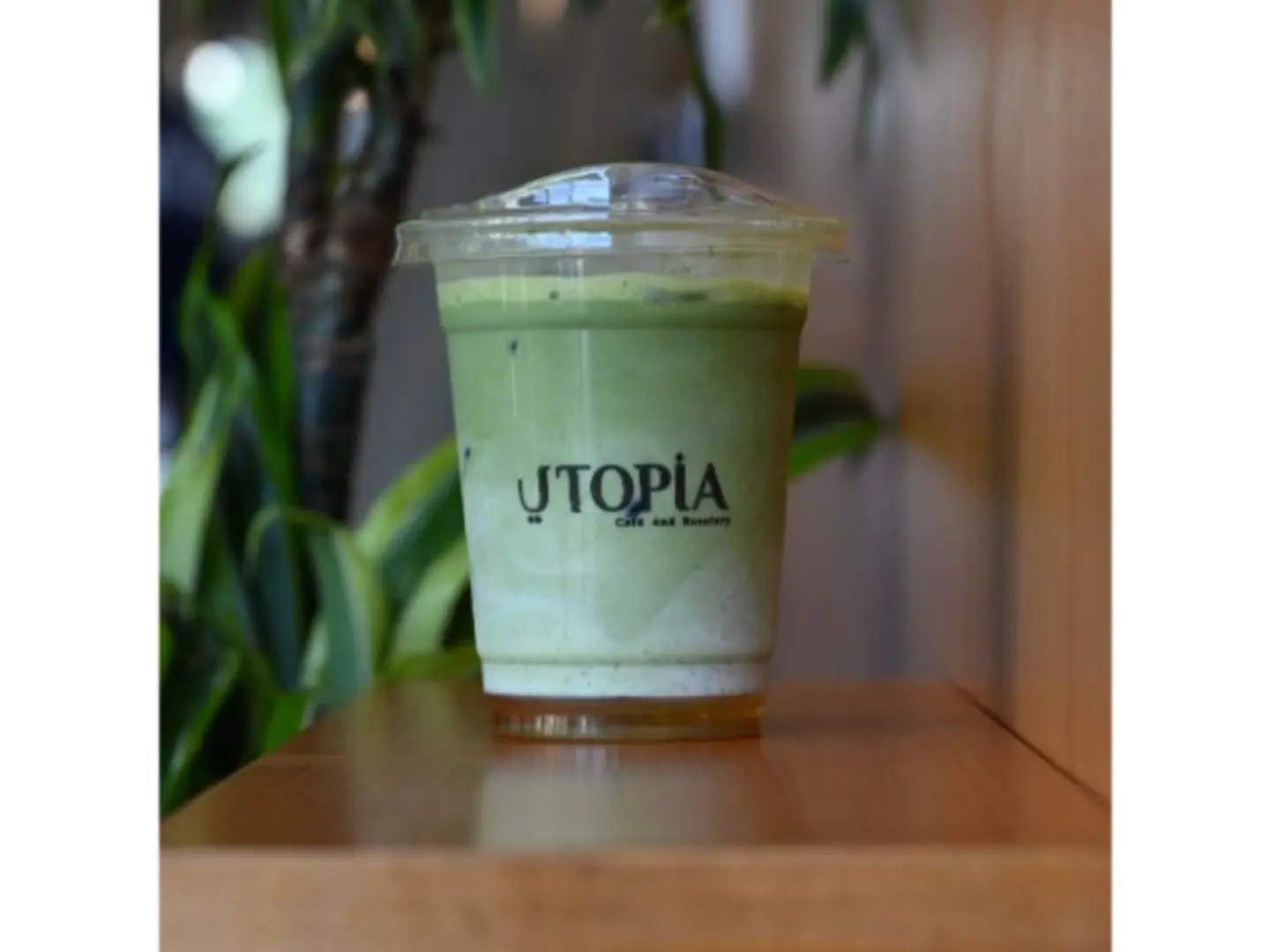 Classic Matcha
