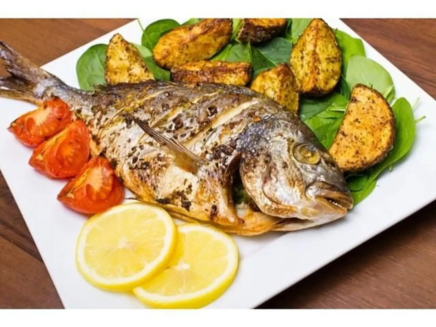 Fish Meals
