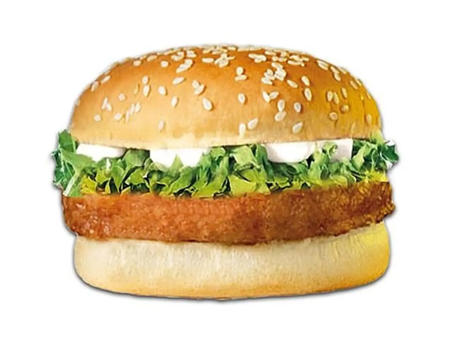 Chicken Burger Sandwich