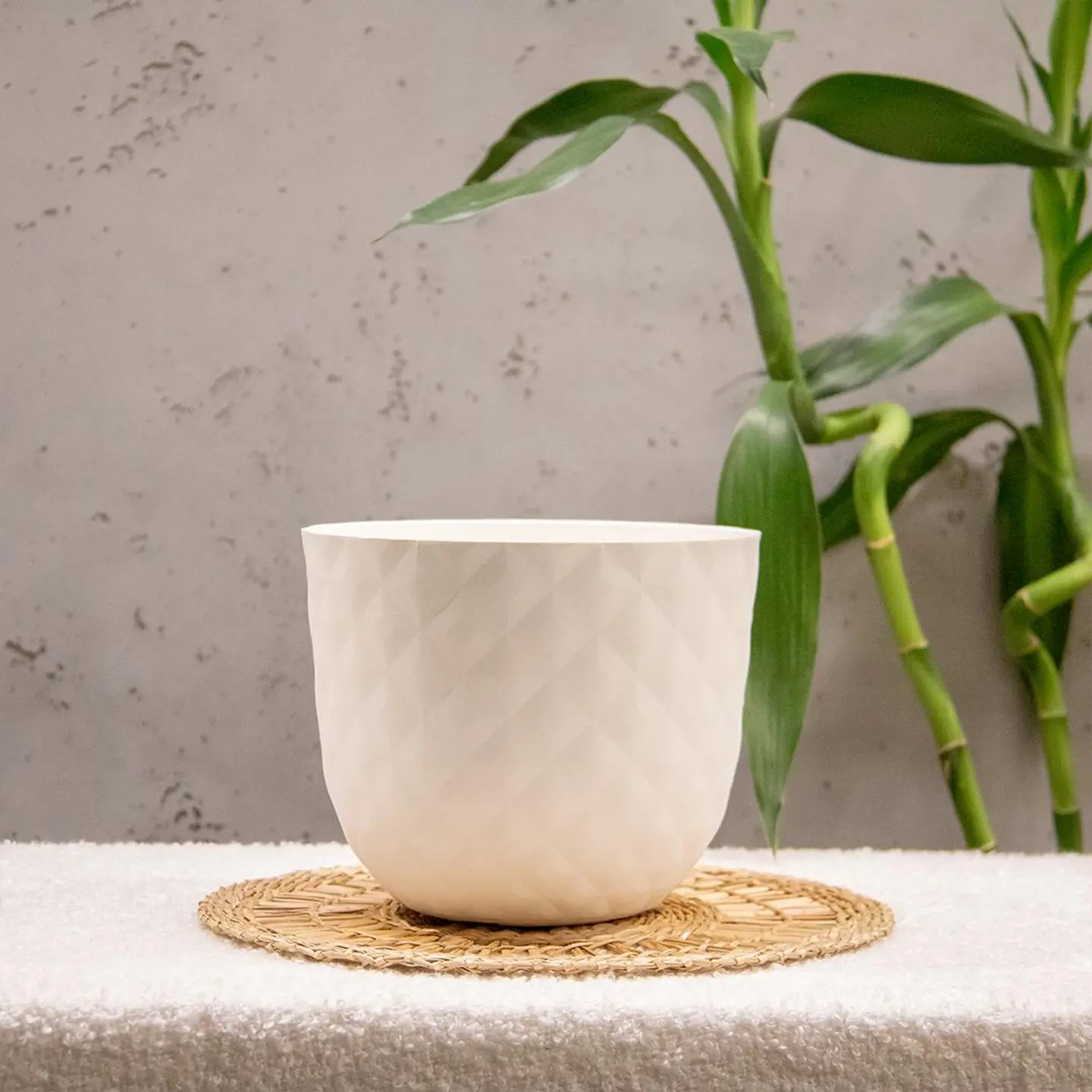 Small Tropical Basin