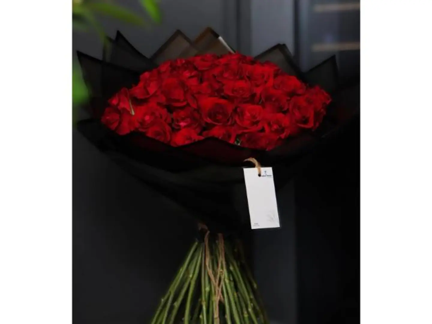 باقة الحب ١