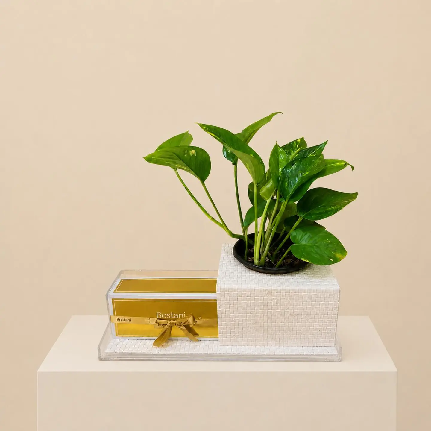 Luxury Garden Of Purity Set