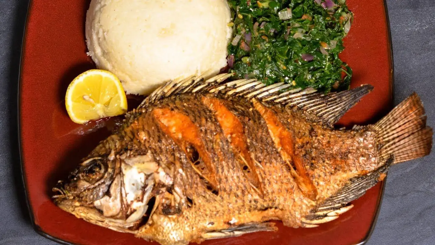 Tilapia Fish