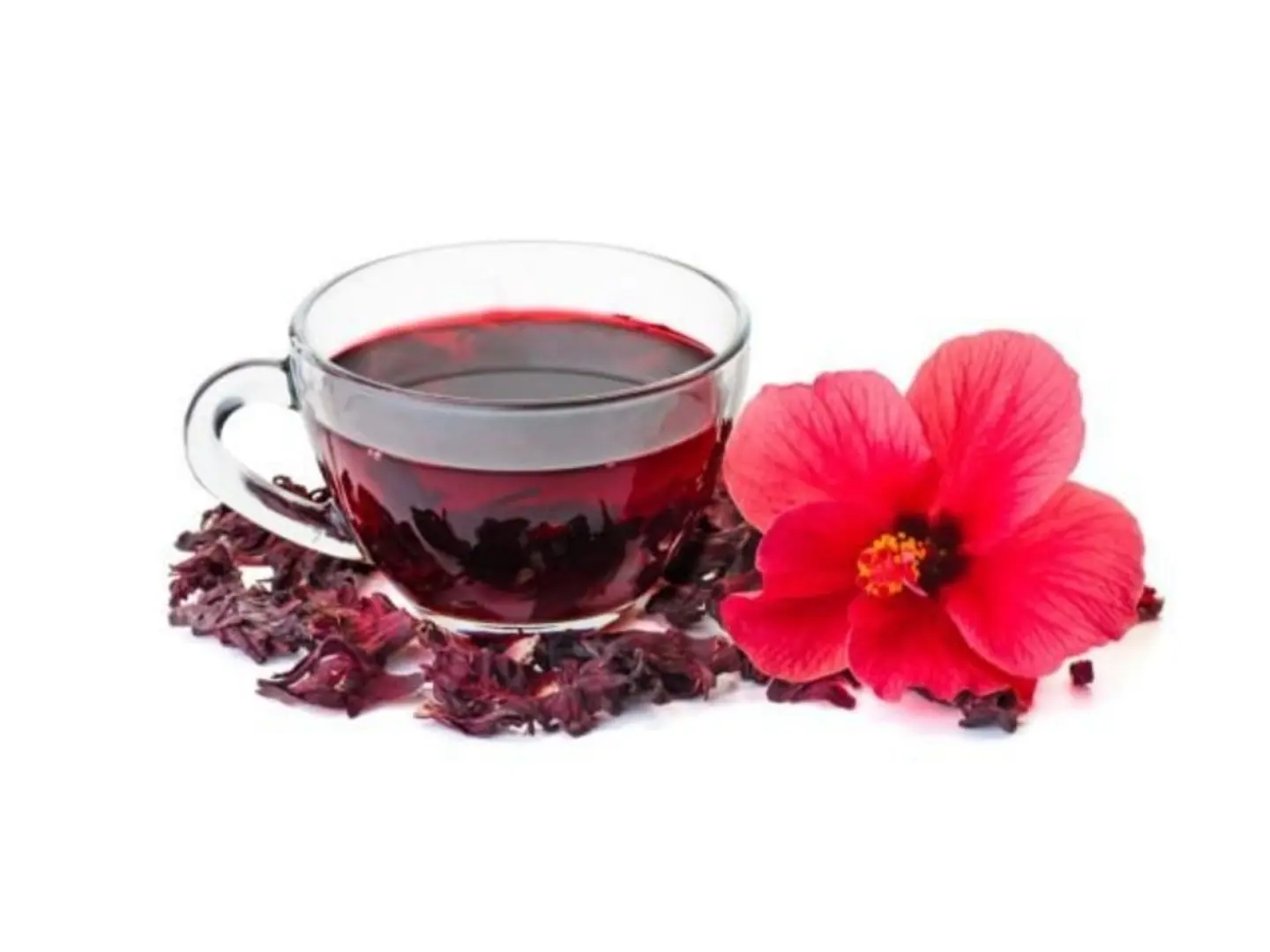 Iced Hibiscus