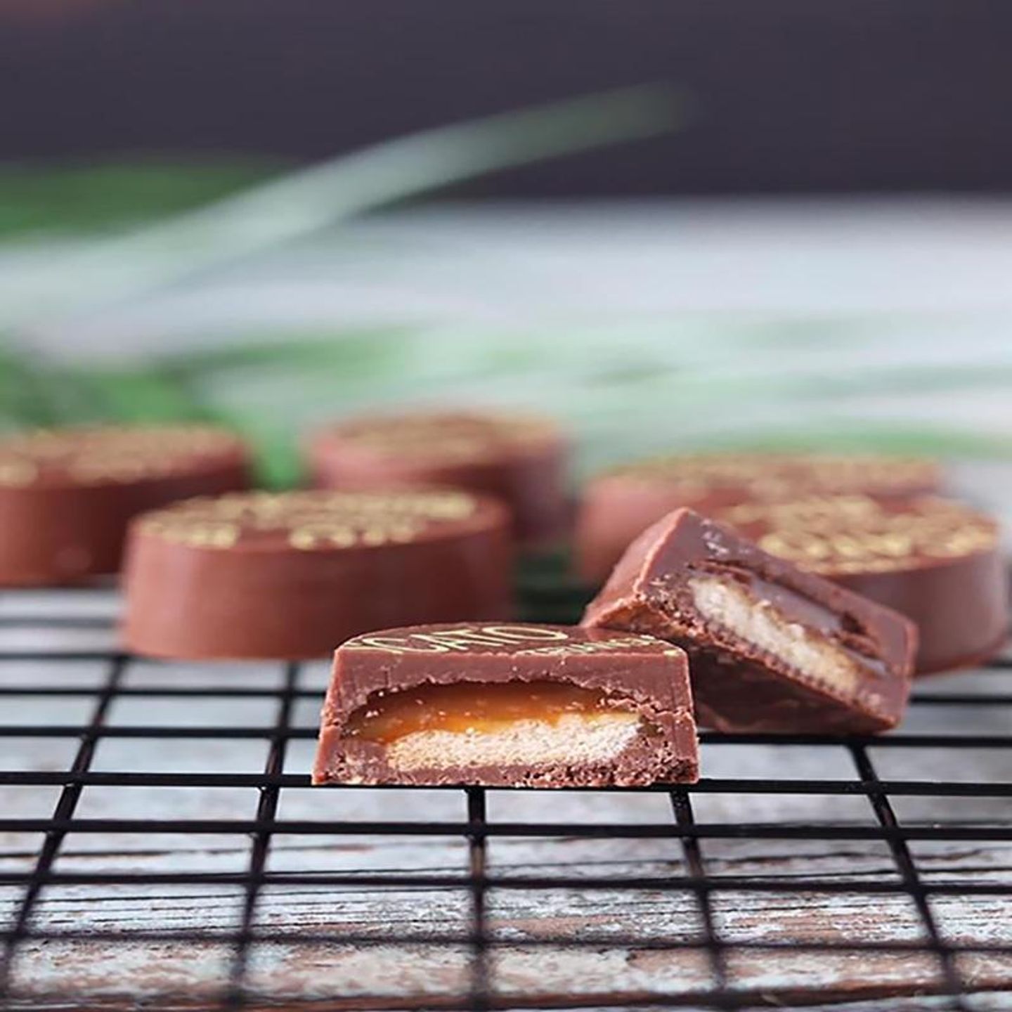 Biscato Chocolate