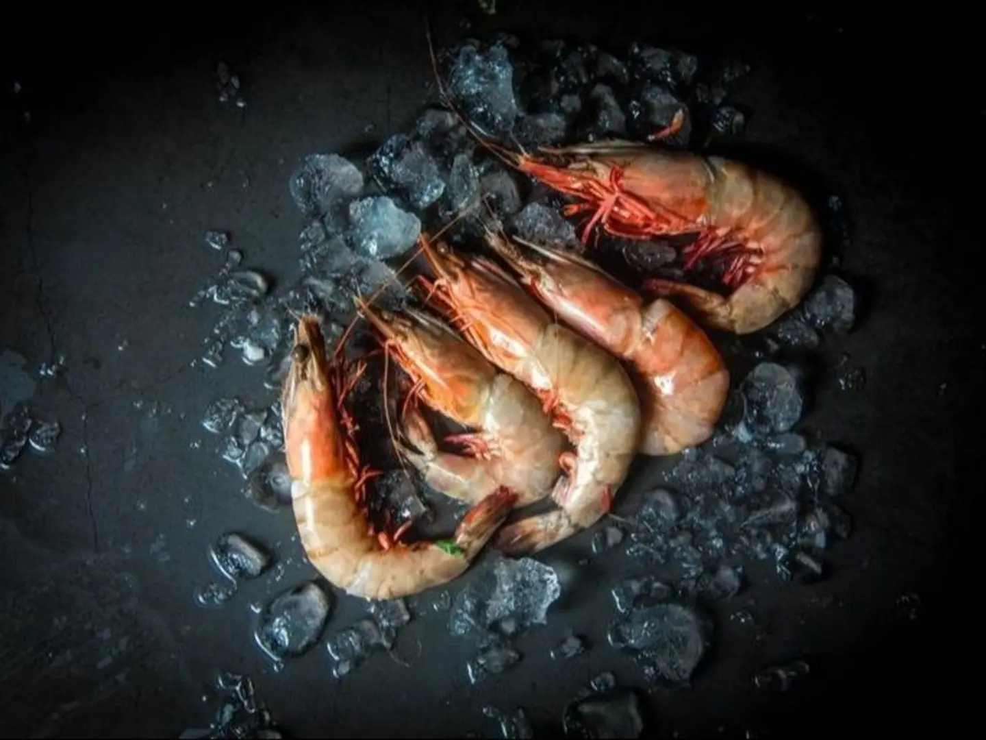 جمبري جامبو بترفلاي