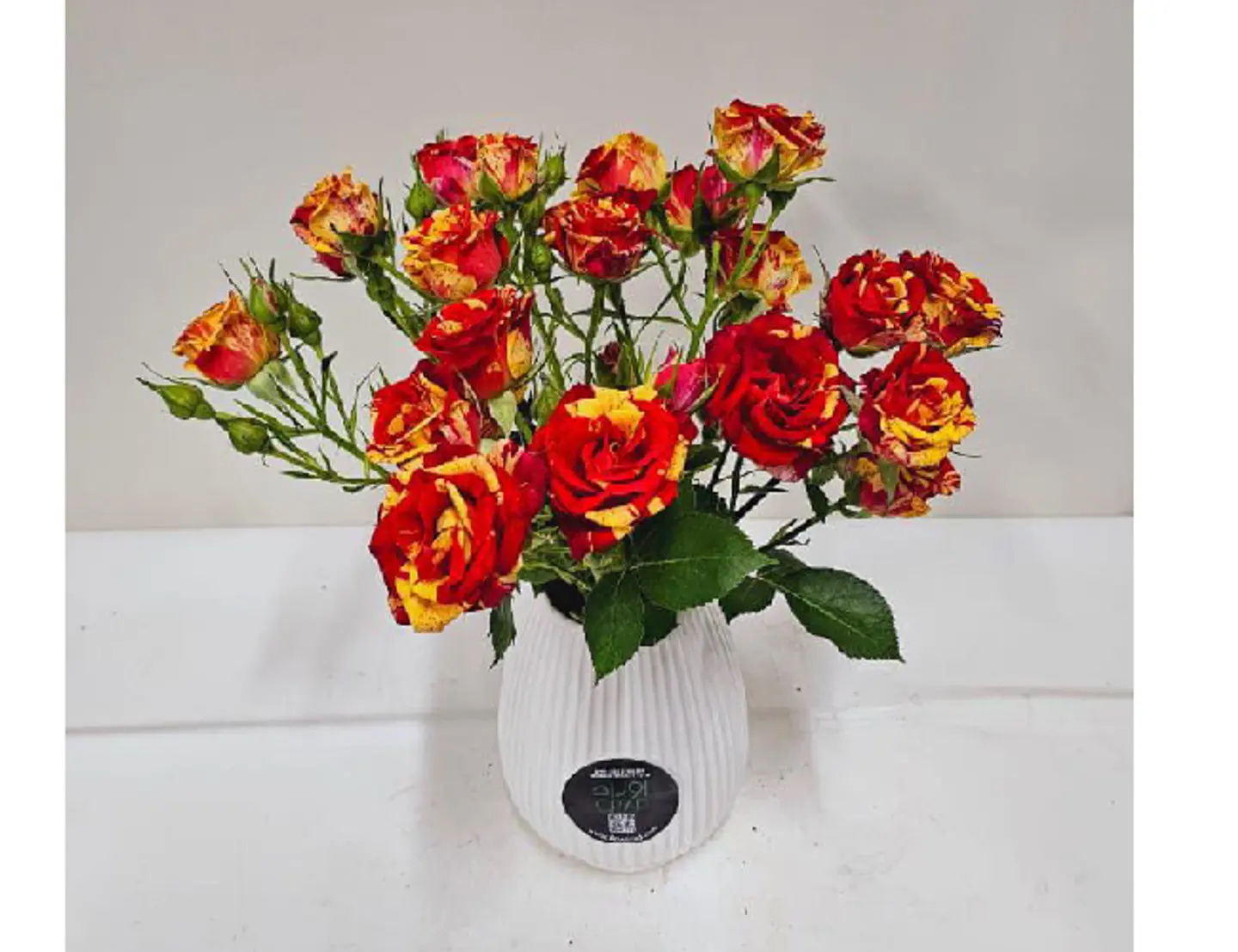 الشمس الوامضة