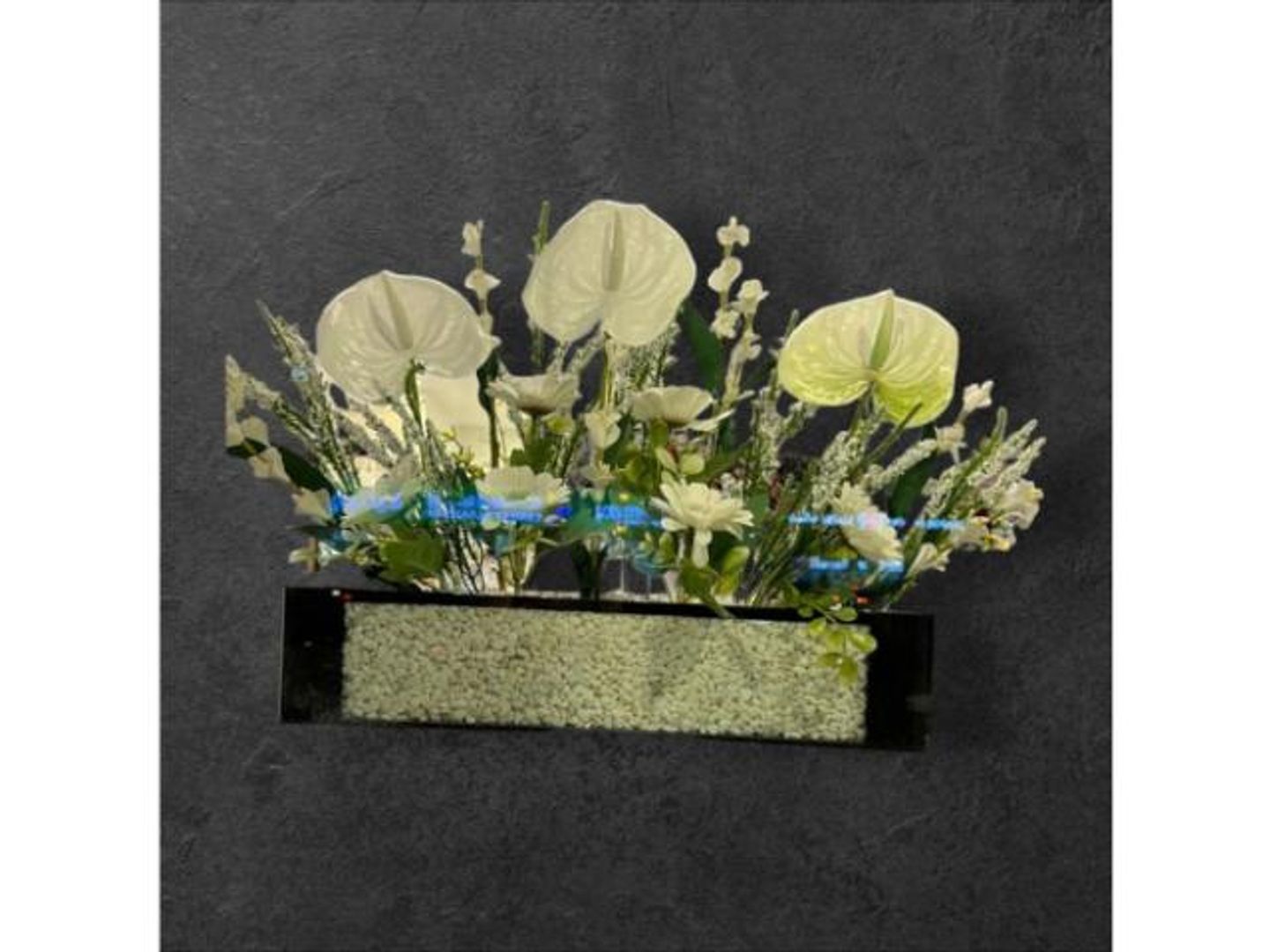 Elegance Box