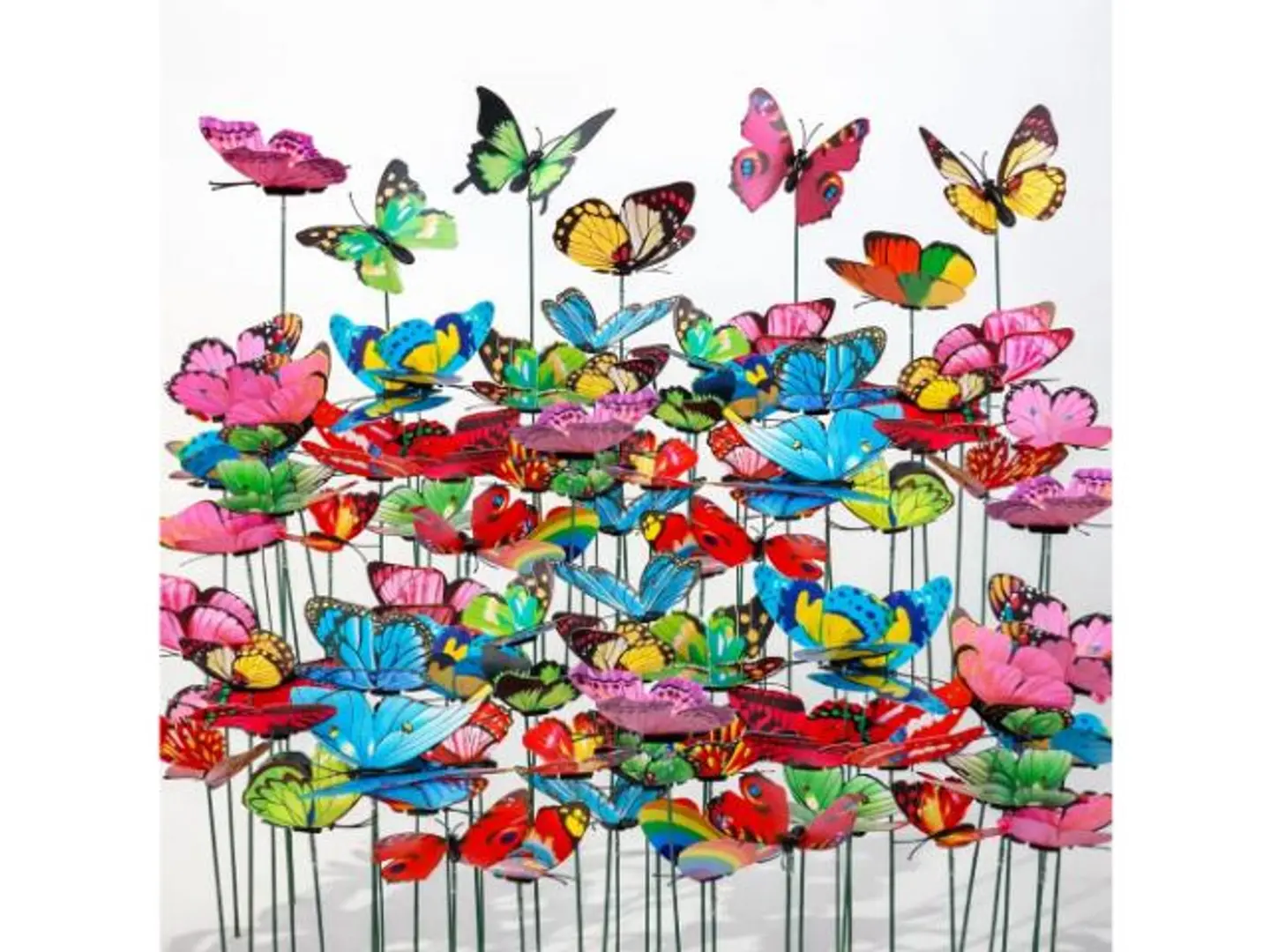 Colorful Butterfly Plantings